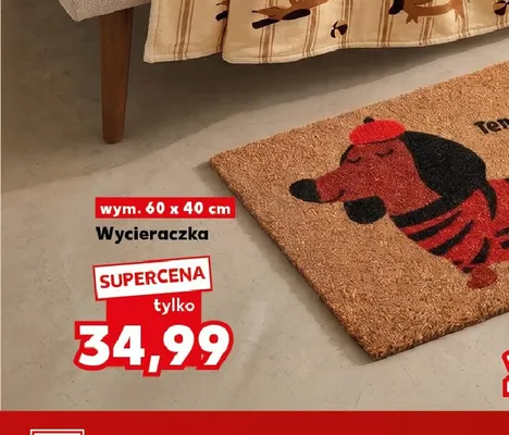 Wycieraczka 60x40 cm promocja w Kaufland