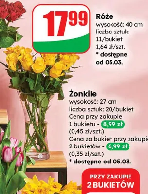 Żonkile promocja w Dino