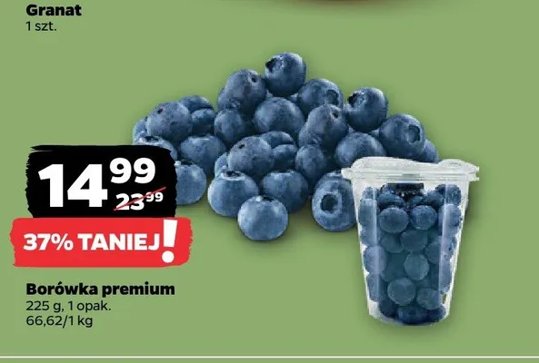 Borówka premium promocja w Netto