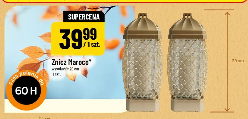 Znicz Maroco promocja w POLOmarket