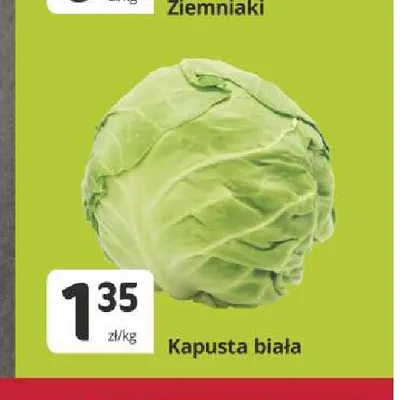 Kapusta biała promocja w Marketvita