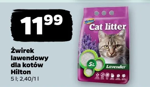 Żwirek lawendowy dla kotów promocja w Netto