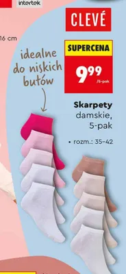 Skarpety damskie promocja w Biedronka