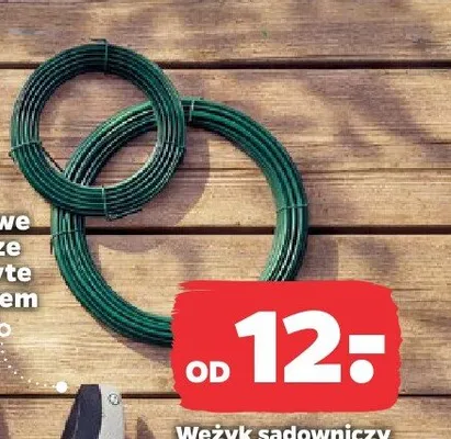Wężyk sadowniczy promocja w Netto