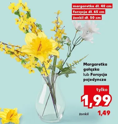 Margaretka gałązka promocja w Kaufland