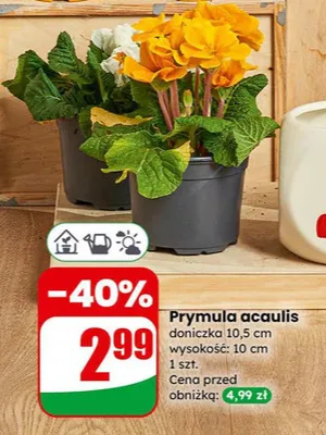 Gazetka 06 / 2026, strona 58 promocja w Dino