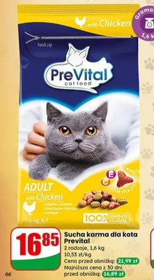 Sucha karma dla kota promocja w Dino