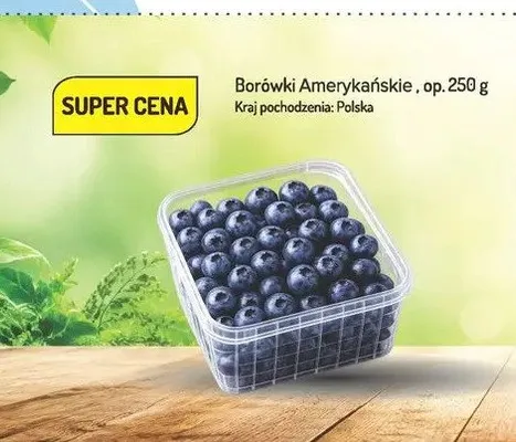 Borówki amerykańskie polskie promocja w Avita