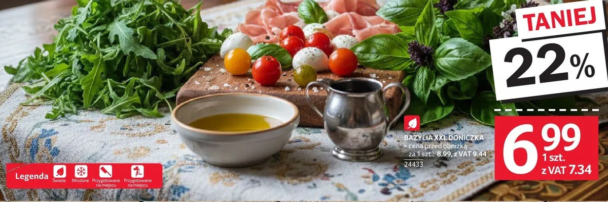 Bazylia XXL doniczka promocja w Selgros