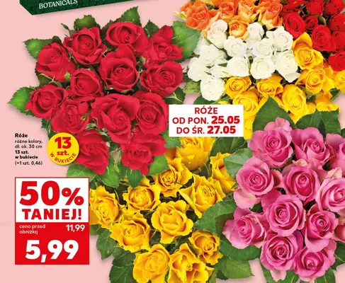 Róże dł. ok. 30cm promocja w Kaufland