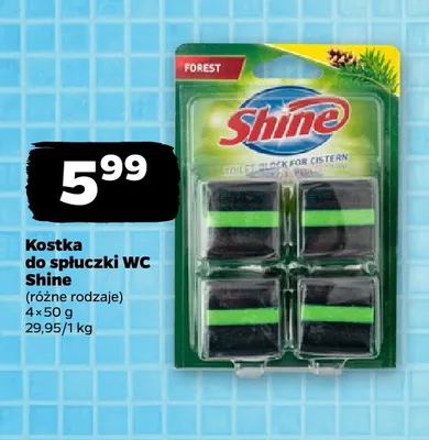 Kostka do spłuczki WC Shine promocja w Netto
