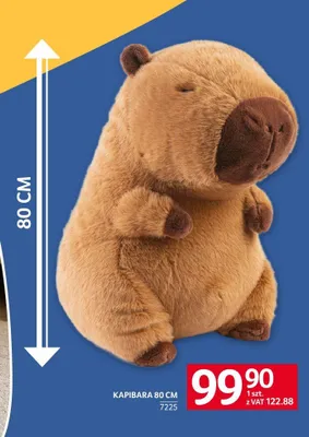 Kapibara 80cm promocja w Selgros