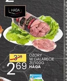 Ozory w galarecie Haga promocja w Wafelek