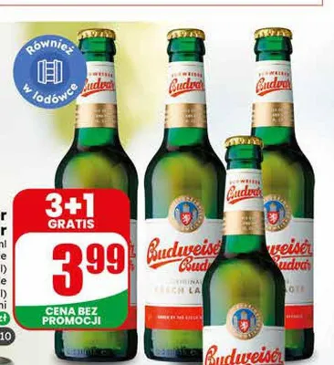 Piwo Budweiser Budvar promocja w Dino