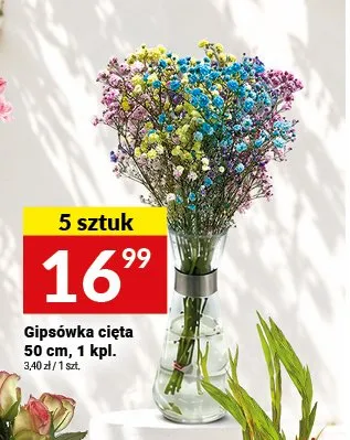 Gipsówka cięta 5-pak promocja w Twój Market