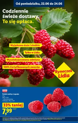 Polskie maliny z Legsadu Ryneczek Lidla promocja w Lidl