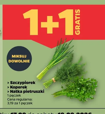 Natka pietruszki promocja w Netto