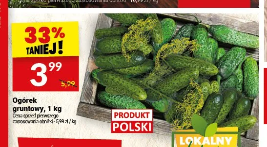 Ogórek gruntowy promocja w Twój Market