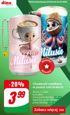 Chusteczki nawilżane w puszce mini Brainrot promocja w Dino