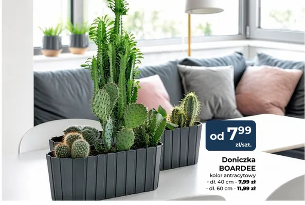 Doniczka Boardee dł. 60 cm promocja w PSB Mrówka