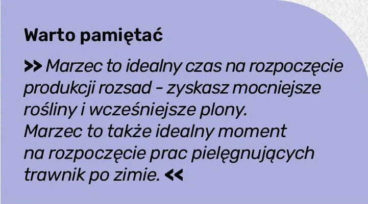 Katalog ogród, strona 123 promocja w Bricomarche