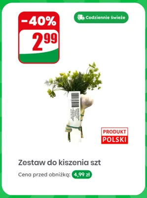 Zestaw do kiszenia promocja w Dino