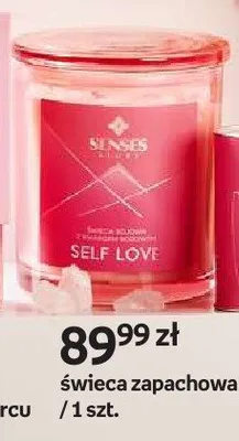 Świeca zapachowa Senses Story promocja w Empik