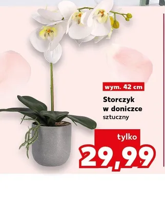Storczyk w doniczce sztuczny 42cm promocja w Kaufland