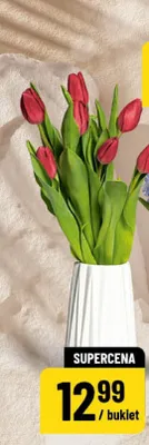 Tulipany promocja w POLOmarket