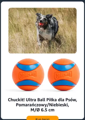 Piłka dla psów Chuckit! Ultra Ball 2-pak pomarańczowo-niebieska M promocja w Amazon