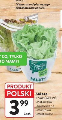 Sałata Z Sadów i Pól batawska promocja w Intermarche