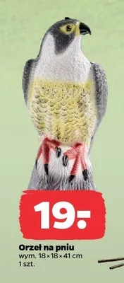 Orzeł na pniu promocja w Netto