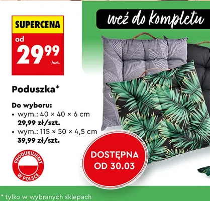 Poduszka na krzesło 40x40x6 cm promocja w Biedronka