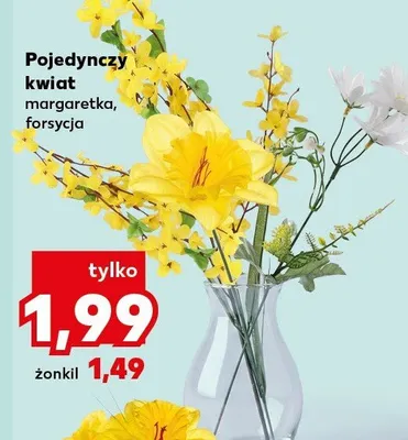 Pojedynczy kwiat margaretka promocja w Kaufland