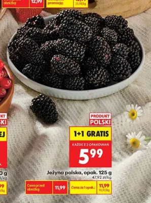 Jeżyna polska promocja w Biedronka