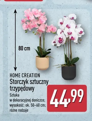 Storczyk sztuczny trzypędowy Home Creation promocja w Aldi