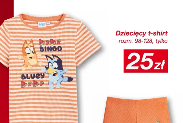 Dziecięcy t-shirt Bluey rozm. 98-128 promocja w KiK
