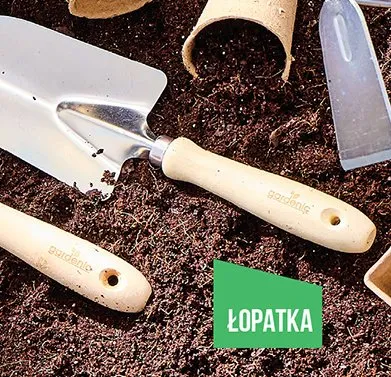 Narzędzia ogrodnicze - łopatka promocja w Biedronka