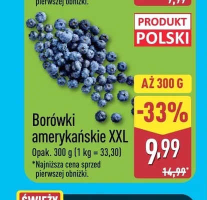 Borówki amerykańskie XXL promocja w Aldi