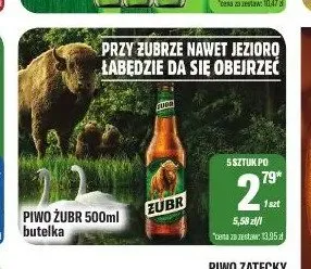 Piwo Żubr promocja w Tomi Markt