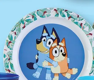 Talerzyk promocja w Biedronka