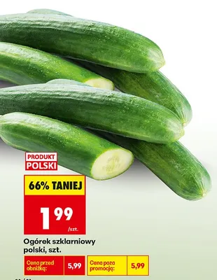 Ogórek szklarniowy promocja w Biedronka