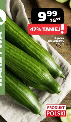 Ogórek szklarniowy promocja w Netto