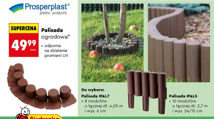 Palisada ogrodowa IPAL5 promocja w Biedronka