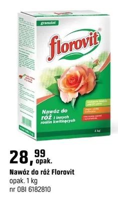 Nawóz do róż promocja w OBI