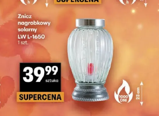 Znicz nagrobkowy solarny Lw L-1650 promocja w Delikatesy Centrum