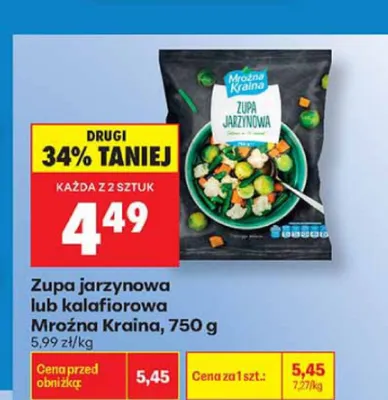 Zupa jarzynowa Mroźna Kraina promocja w Biedronka
