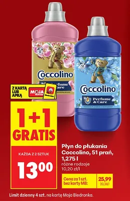 Płyn do płukania, 51 prań, różne rodzaje 1+1 GRATIS promocja w Biedronka