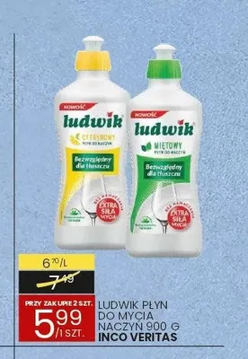 Płyn do mycia naczyń Ludwik miętowy promocja w Wafelek