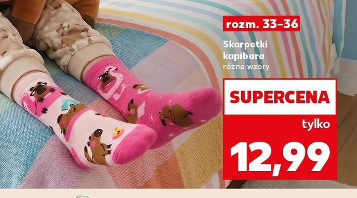 Skarpetki kapibara rozm. 33-36 Kaufland promocja w Kaufland